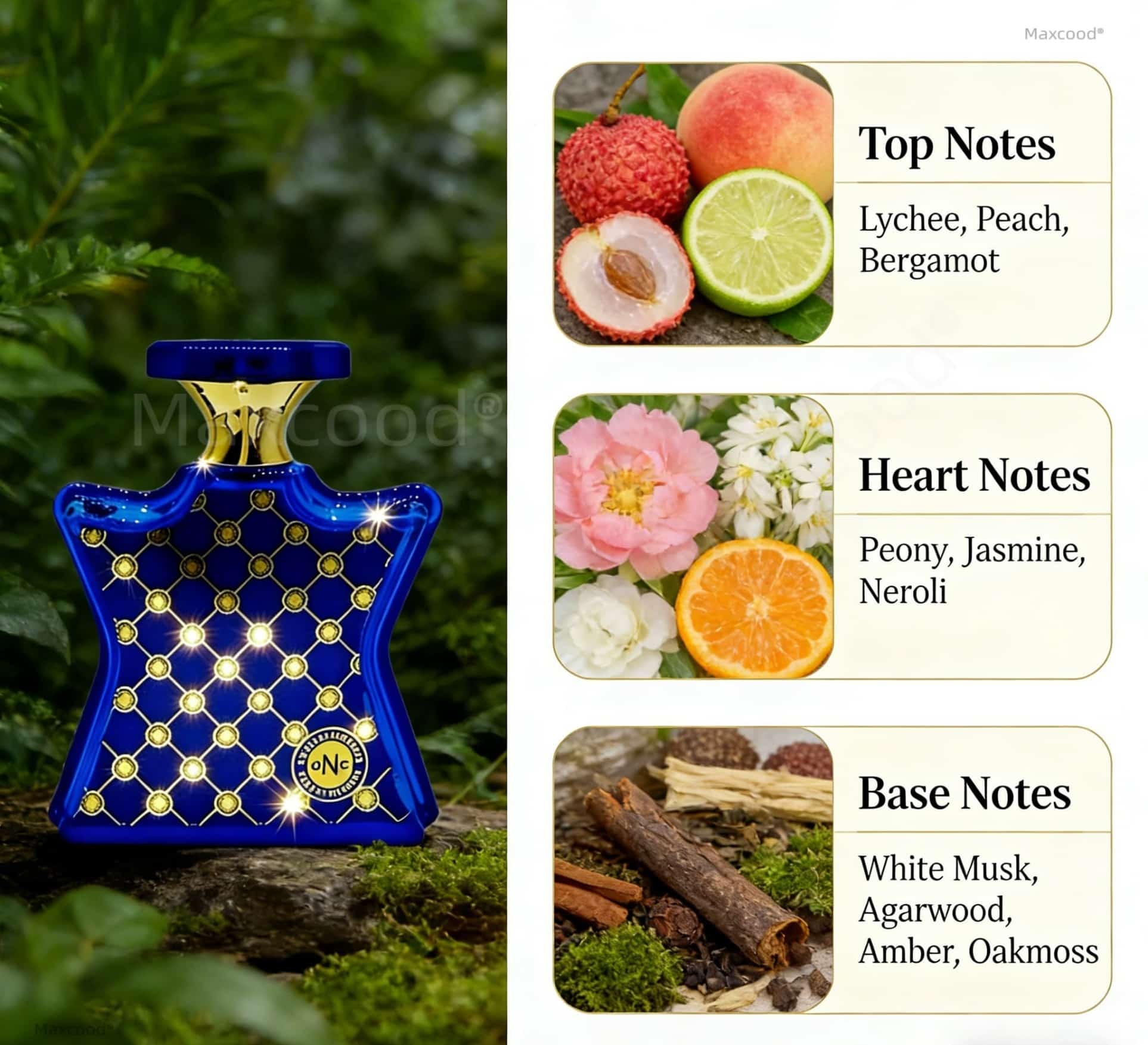 Citrus and Floral Perfume Long - Eau De Parfum Women ulasan dan harga