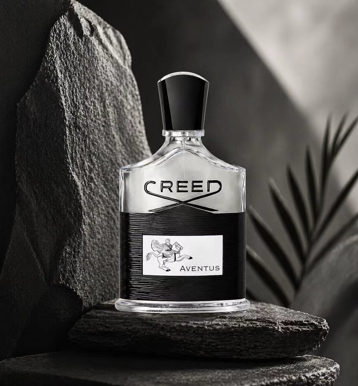 Creed Aventus: Audacious & Tim - Creed Aventus Dupe ulasan dan harga
