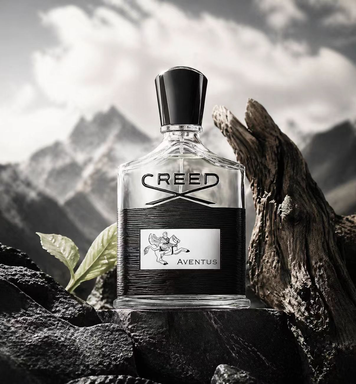 Creed Aventus: Audacious & Tim - Creed Aventus Dupe ulasan dan harga