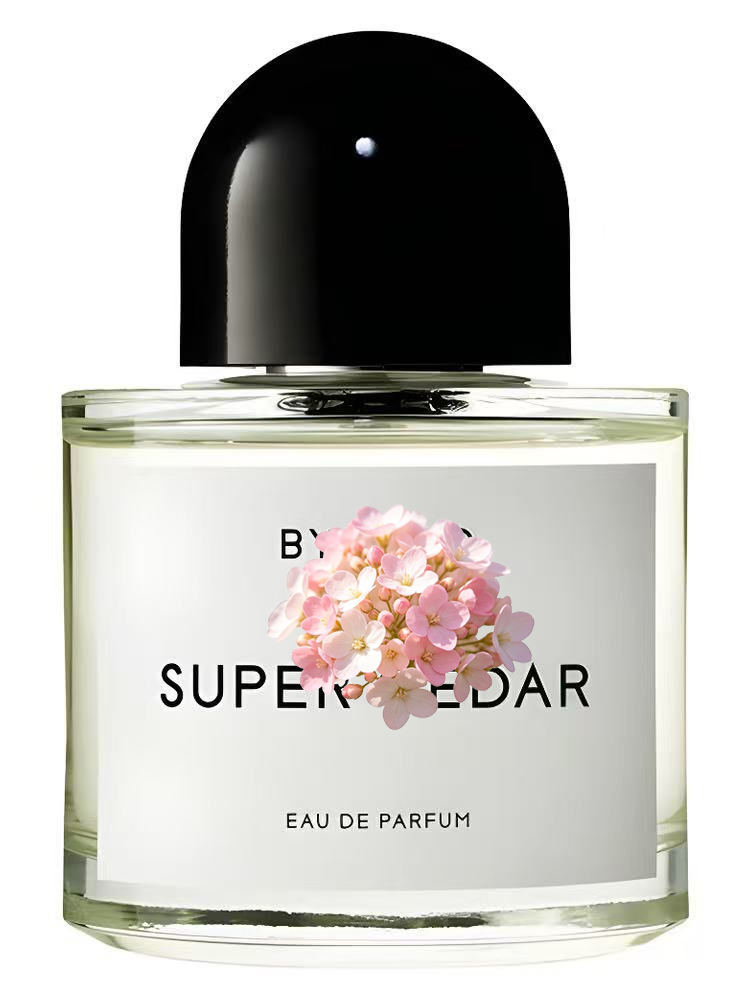 Unisex Eau de Parfum 100ml 3.4 - Eau De Parfum Women ulasan dan harga