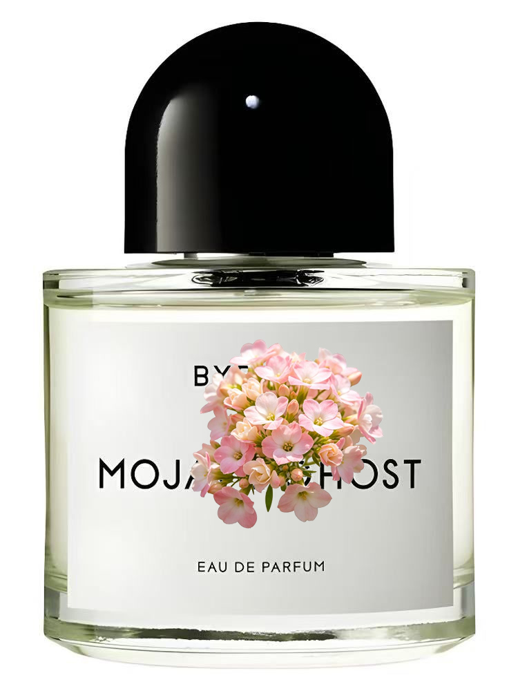 Unisex Eau de Parfum 100ml 3.4 - Eau De Parfum Women ulasan dan harga